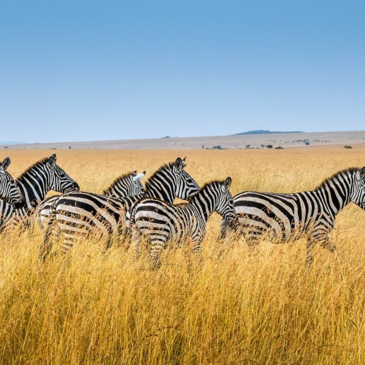 Kidepo Valley