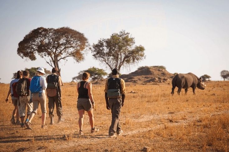 Guided Safari Tours