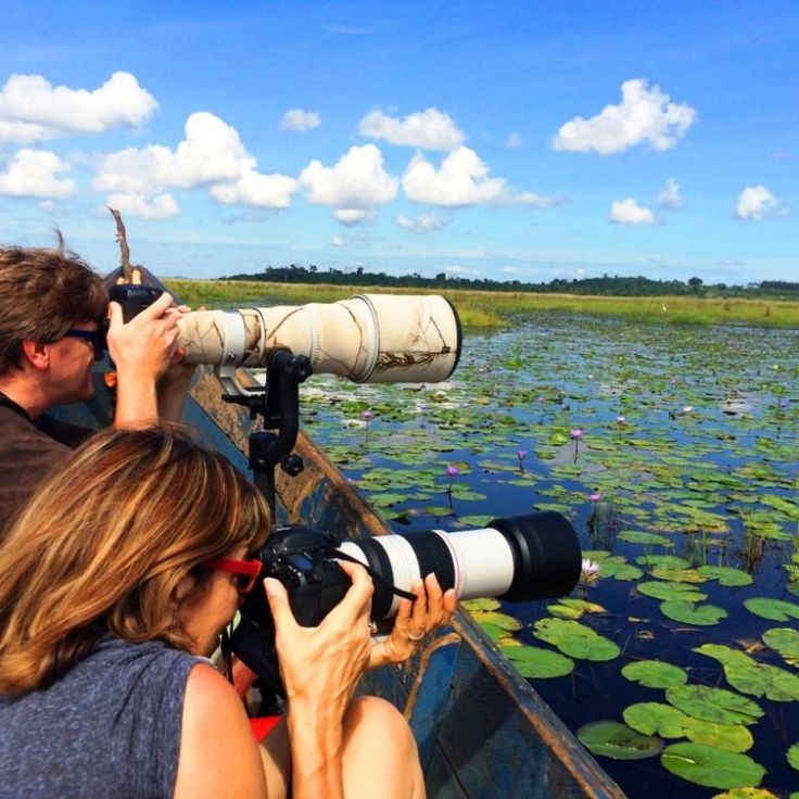 Uganda Birding Experience